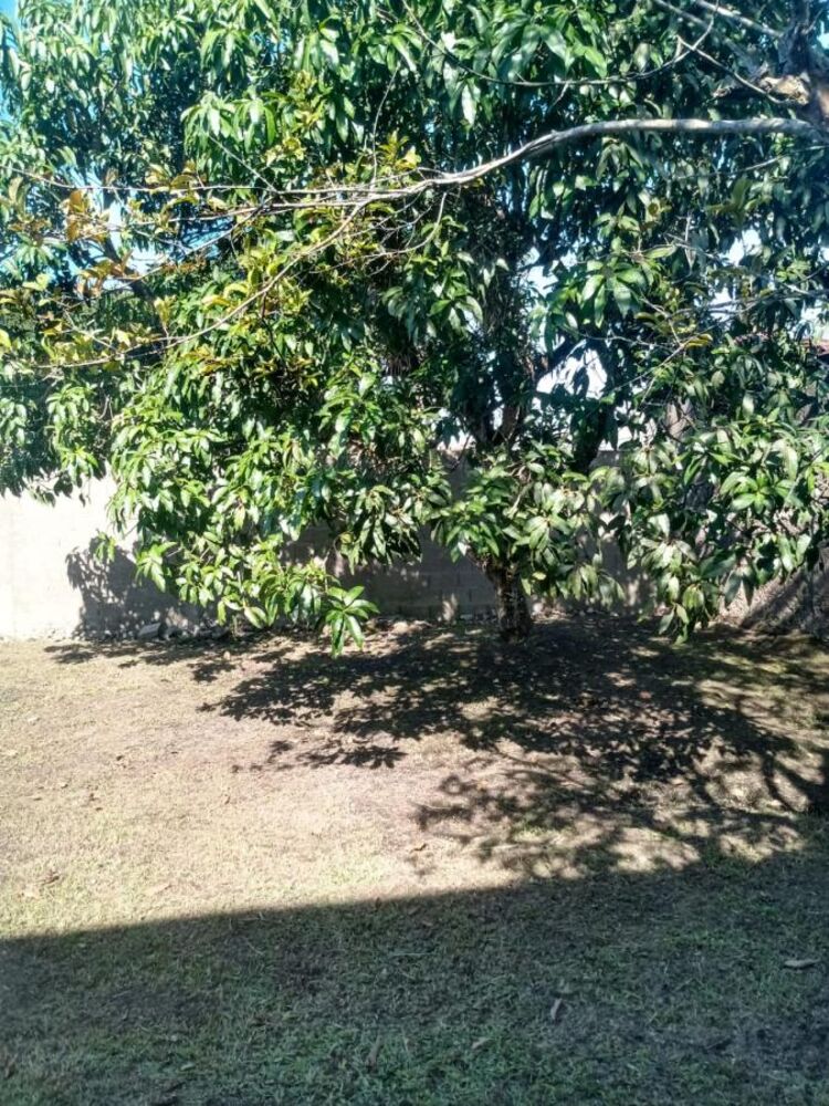 Casa à venda com 1 quarto, 300m² - Foto 2