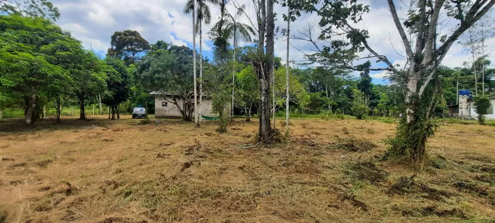 Chácara, 2 quartos, 3500 m² - Foto 11