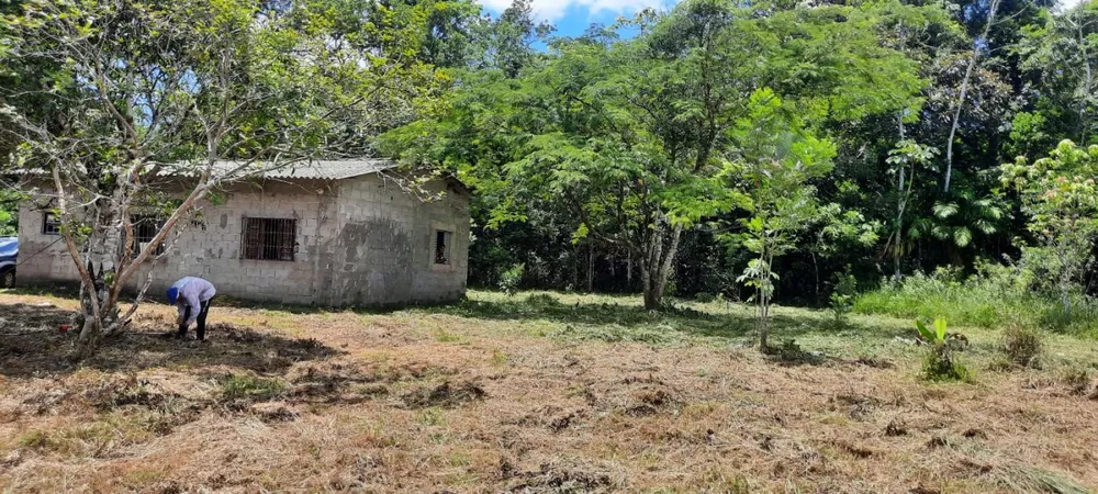 Chácara à venda com 2 quartos, 3500m² - Foto 4