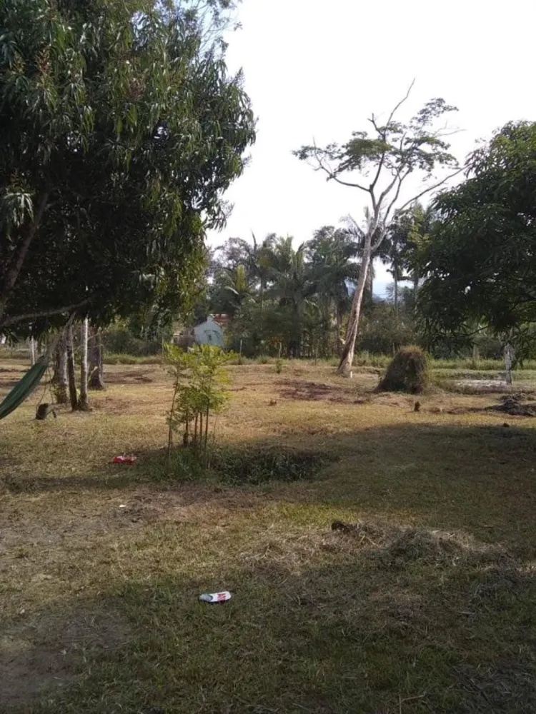 Chácara, 2 quartos, 3500 m² - Foto 5