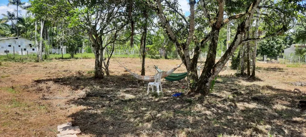Chácara, 2 quartos, 3500 m² - Foto 7