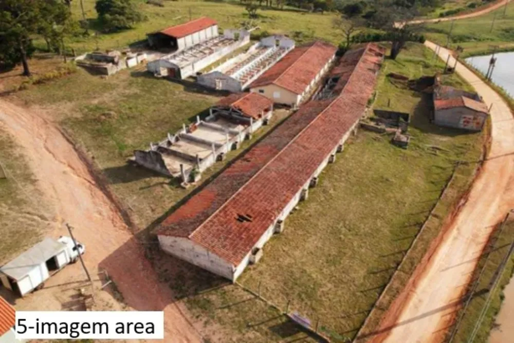 Sítio, 7 quartos, 2 hectares - Foto 1
