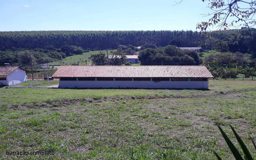 Sítio, 7 quartos, 2 hectares - Foto 2