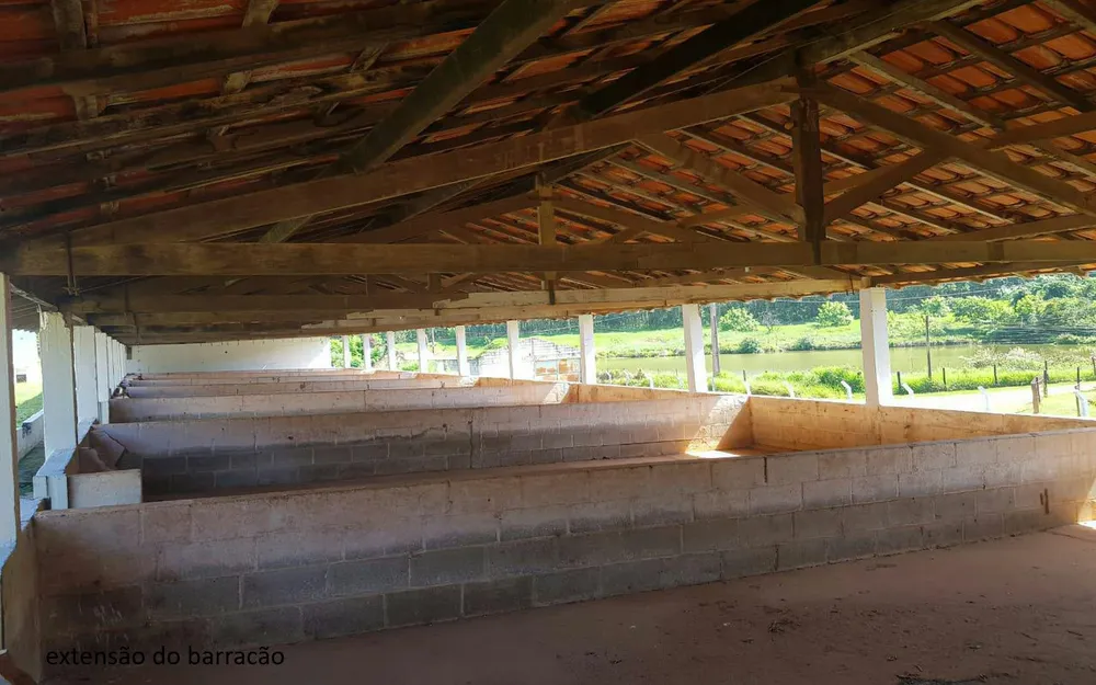 Sítio, 7 quartos, 2 hectares - Foto 13