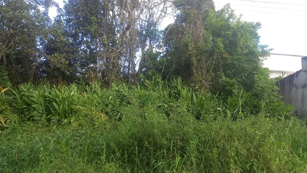 Terreno, 286 m² - Foto 5