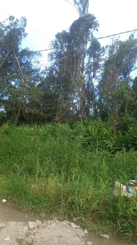 Terreno, 286 m² - Foto 6