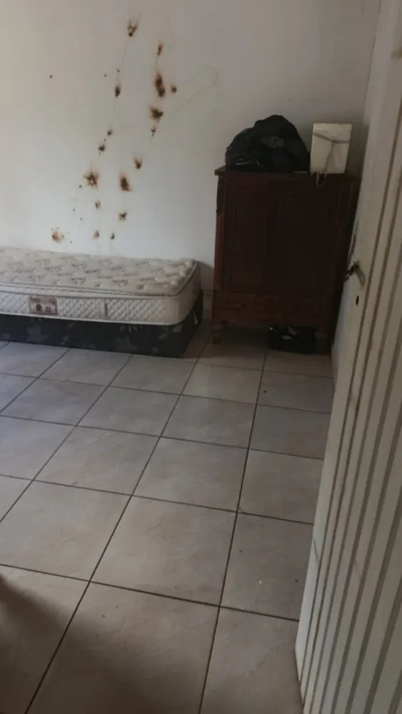 Chácara, 2 quartos, 1000 m² - Foto 1