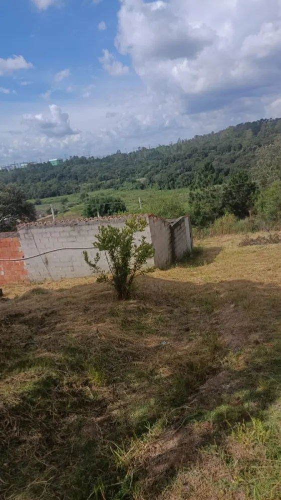 Chácara, 2 quartos, 1000 m² - Foto 2
