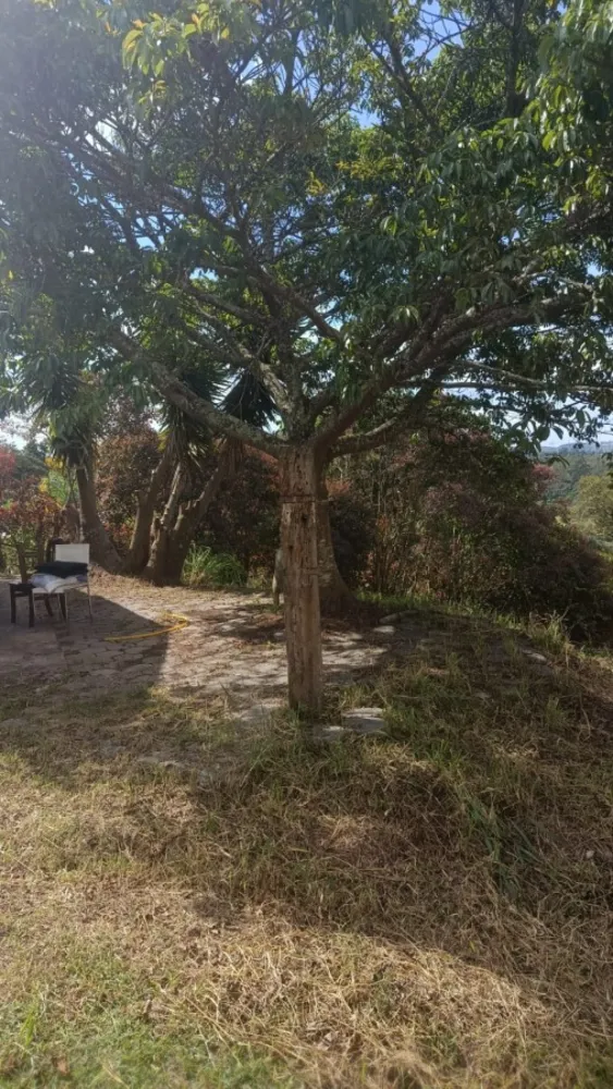 Chácara, 2 quartos, 1000 m² - Foto 4