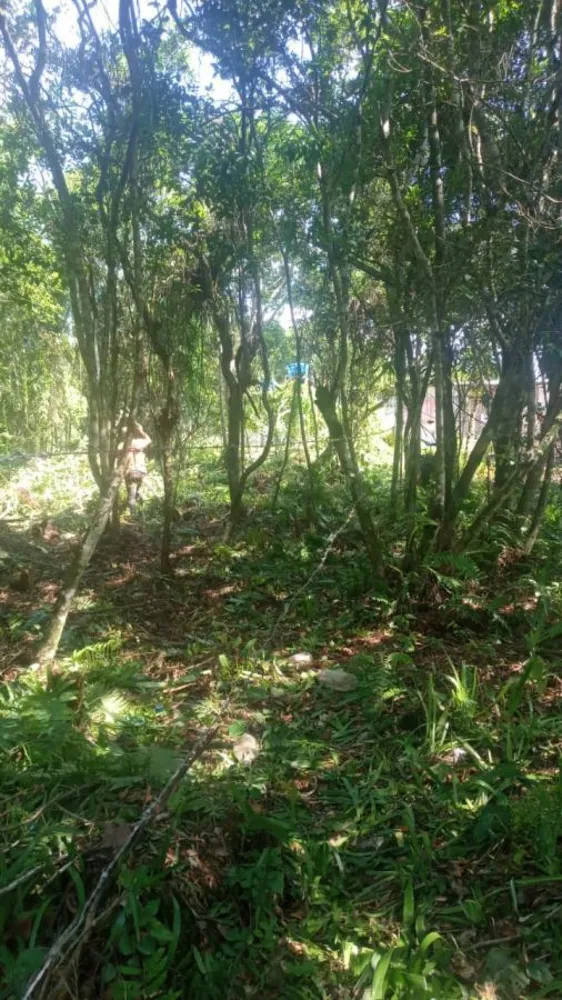 Terreno, 267 m² - Foto 6