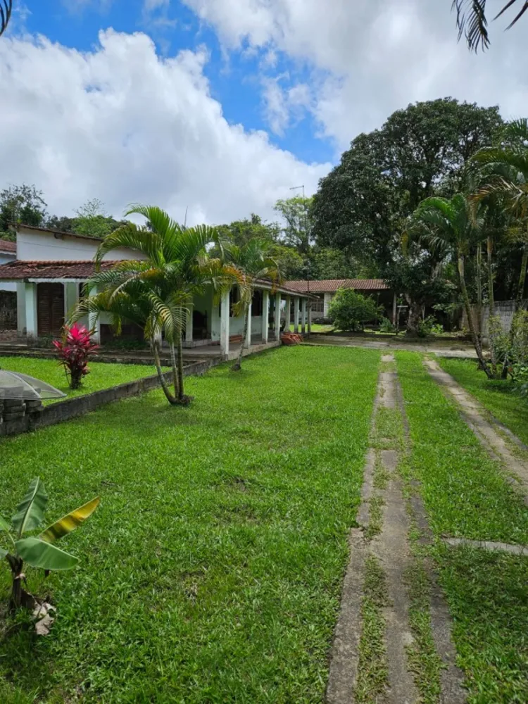 Chácara, 2 quartos, 1000 m² - Foto 4