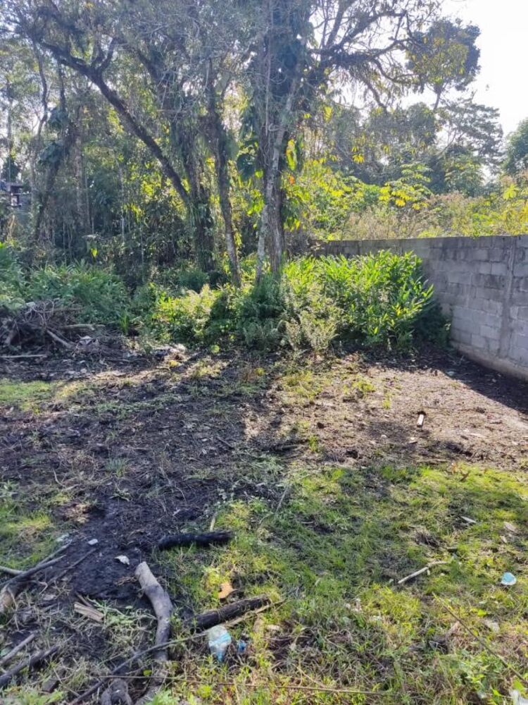 Terreno, 396 m² - Foto 3