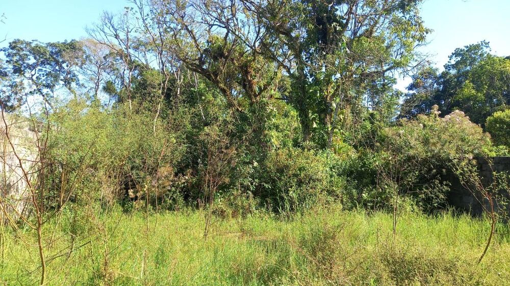 Terreno, 396 m² - Foto 7