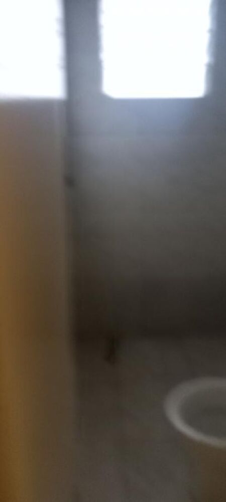 Casa, 10 quartos - Foto 4