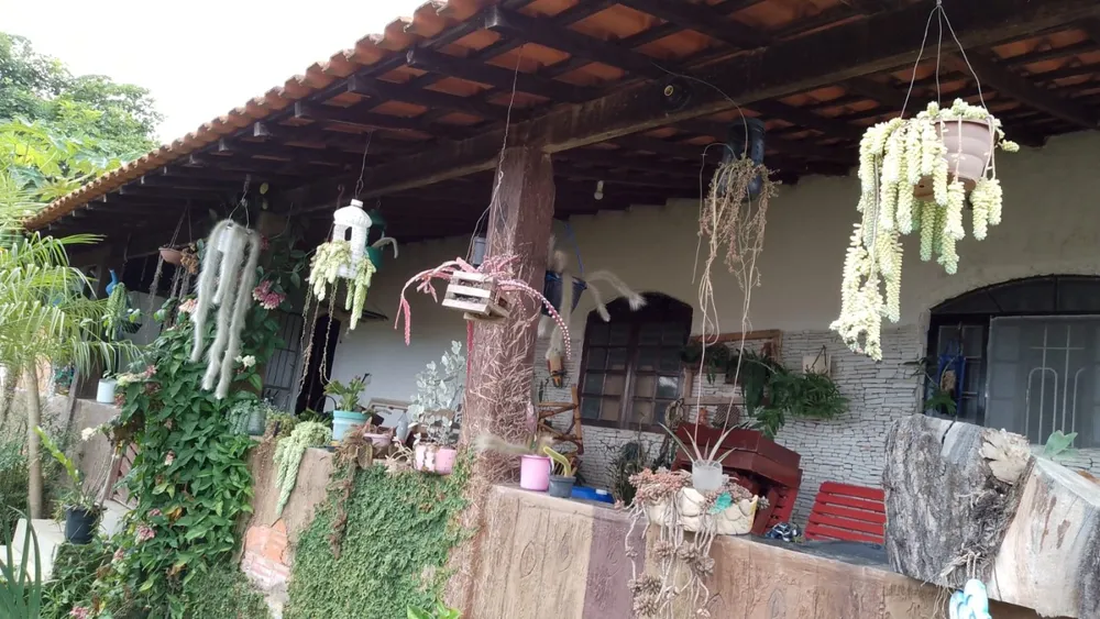 Chácara, 3 quartos, 1200 m² - Foto 6
