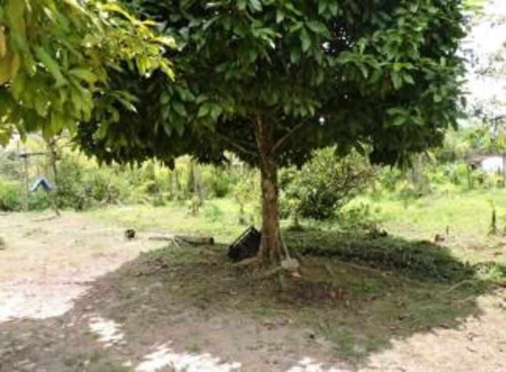 Terreno, 18 m² - Foto 6