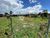 Terreno, 161 m² - Foto 5