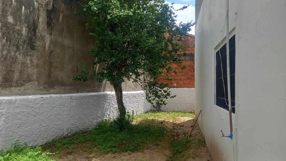 Casa, 3 quartos - Foto 14