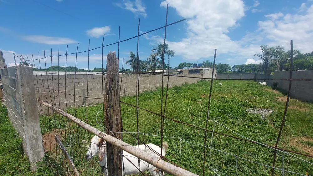 Terreno, 450 m² - Foto 4
