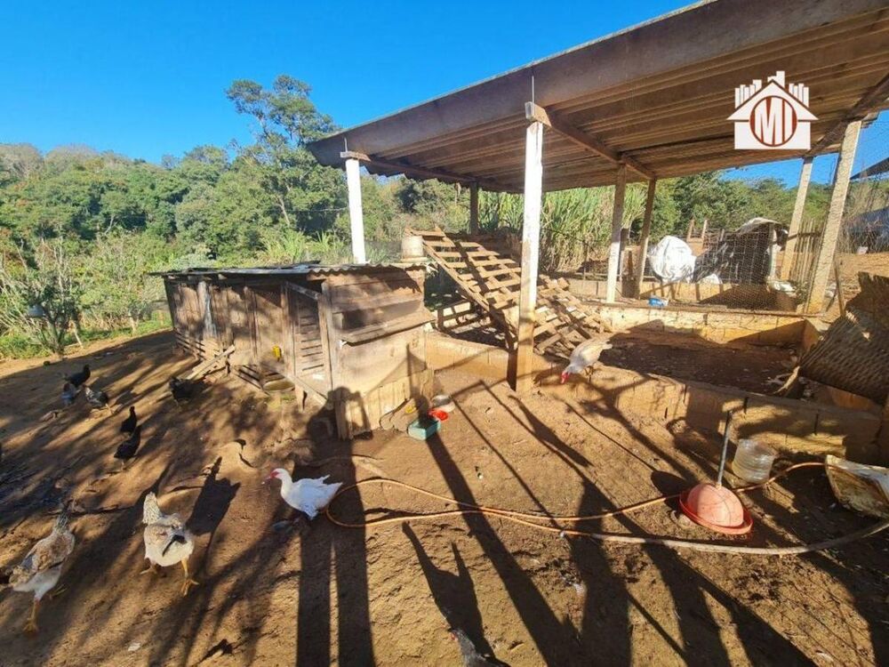 Sítio à venda com 3 quartos, 110000m² - Foto 6