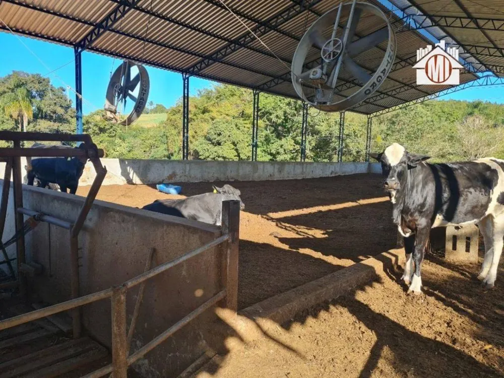 Sítio, 3 quartos, 11 hectares - Foto 20