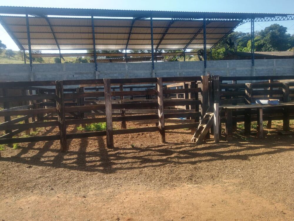 Sítio à venda com 3 quartos, 110000m² - Foto 3