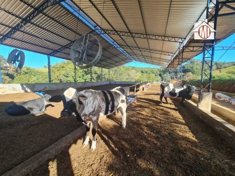 Sítio, 3 quartos, 11 hectares - Foto 12