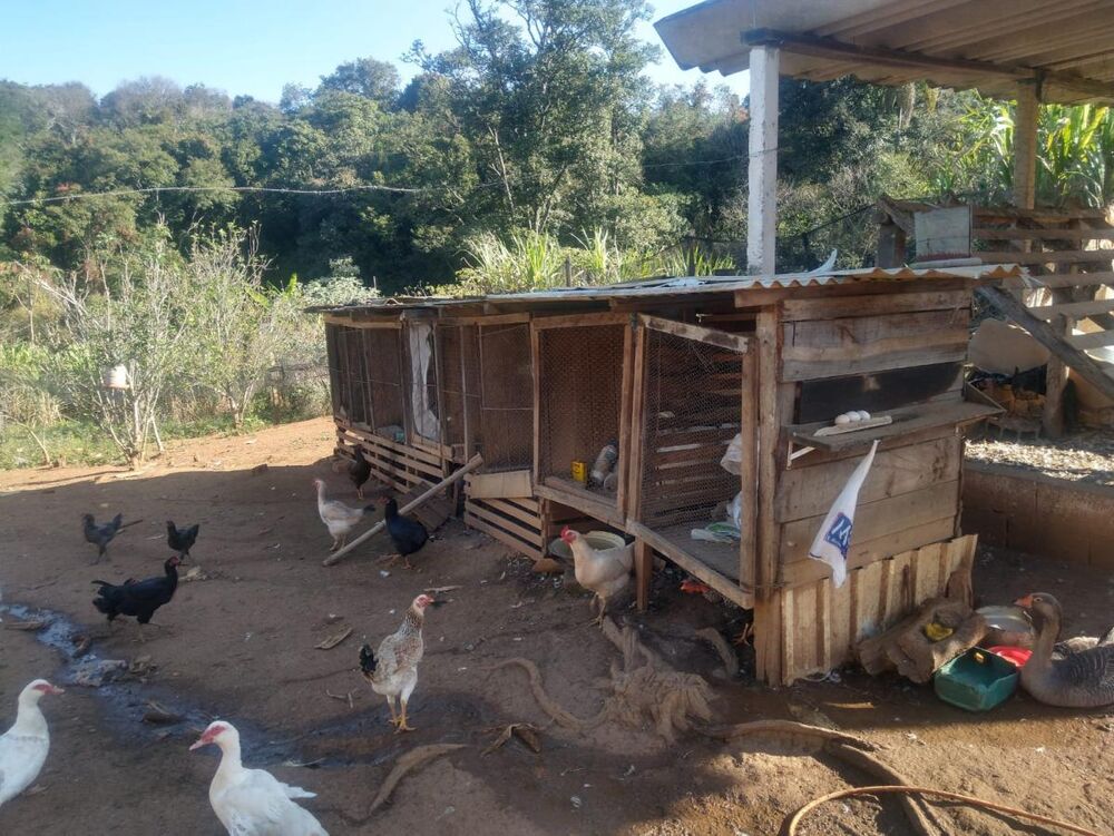 Sítio à venda com 3 quartos, 110000m² - Foto 2