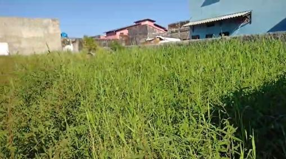 Terreno, 1794 m² - Foto 3