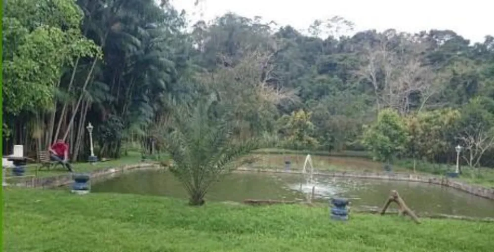 Sítio, 5 quartos, 2 hectares - Foto 10