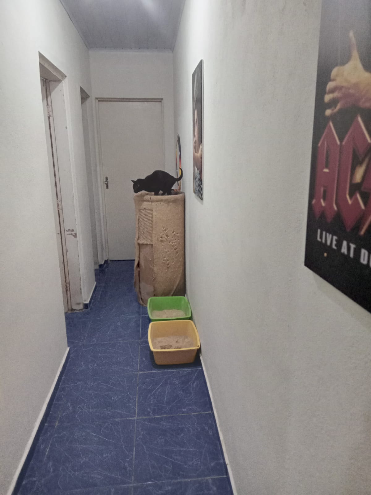 Chácara à venda com 3 quartos, 150m² - Foto 16