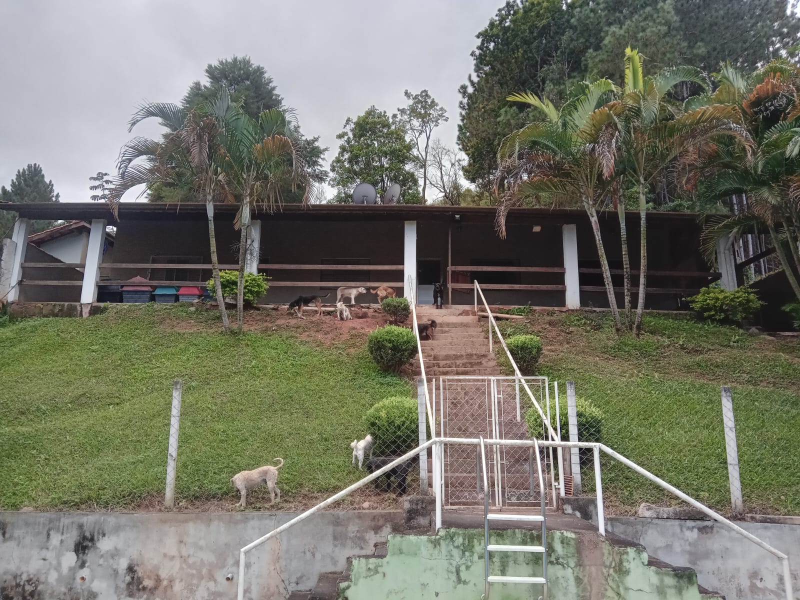 Chácara à venda com 3 quartos, 150m² - Foto 14