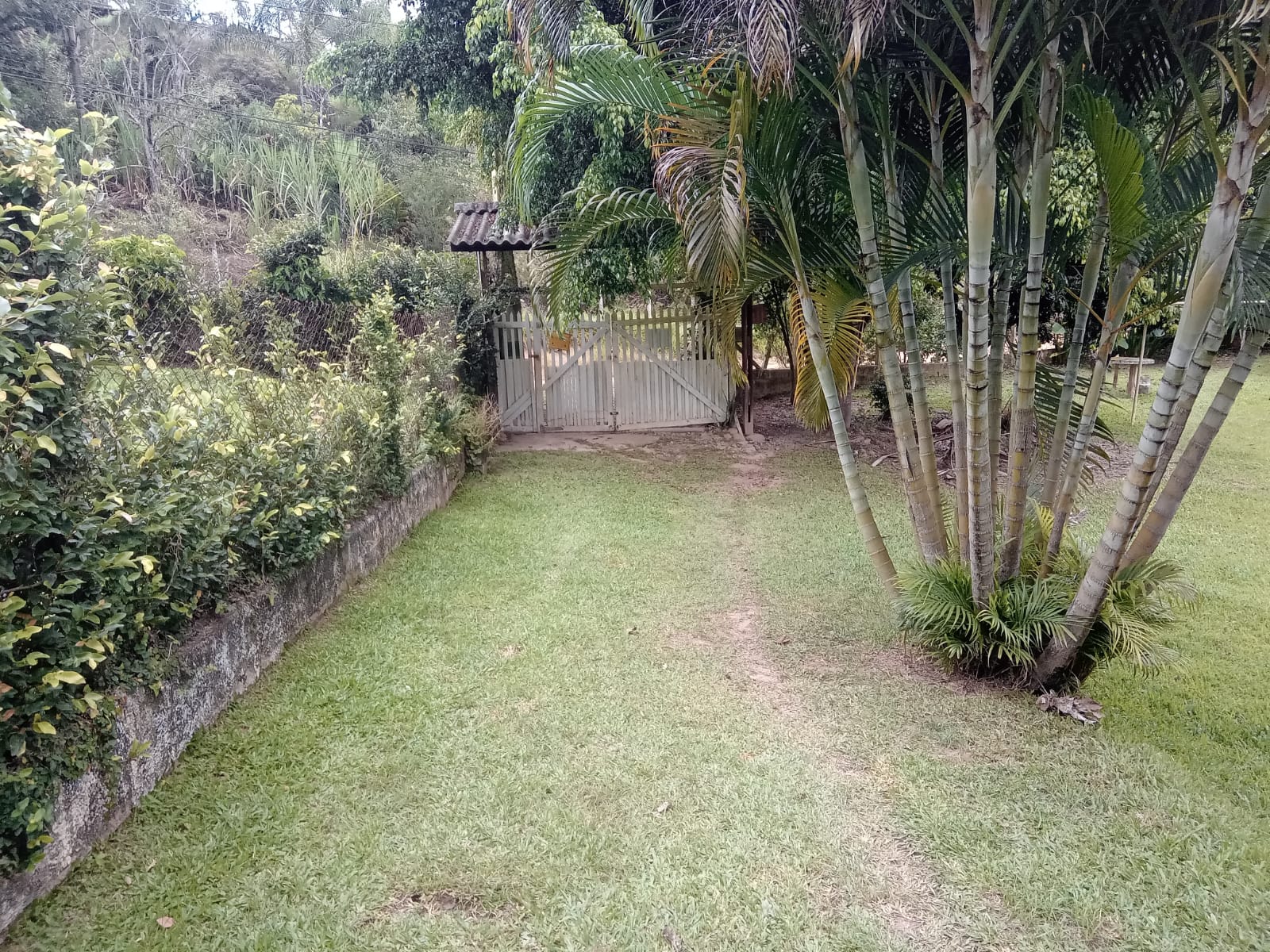 Chácara, 3 quartos, 1450 m² - Foto 4