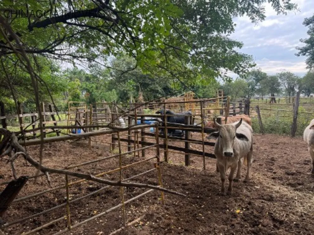 Loteamento e Condomínio, 2500 m² - Foto 10