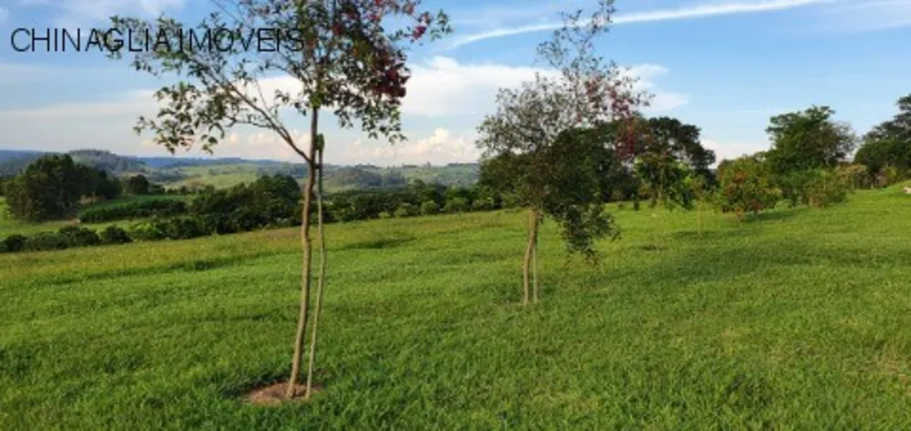 Sítio, 3 quartos, 4 hectares - Foto 8