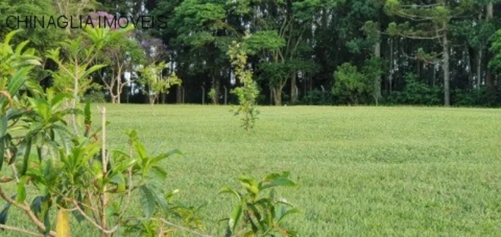 Sítio, 3 quartos, 4 hectares - Foto 10