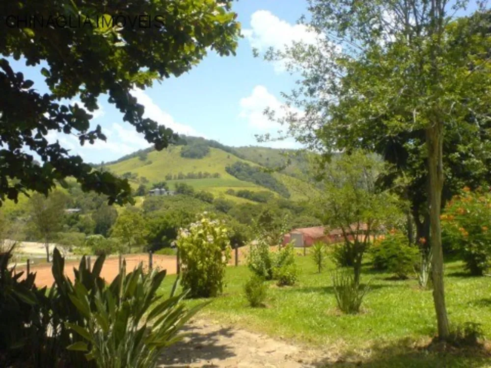 Sítio, 5 quartos, 3 hectares - Foto 8