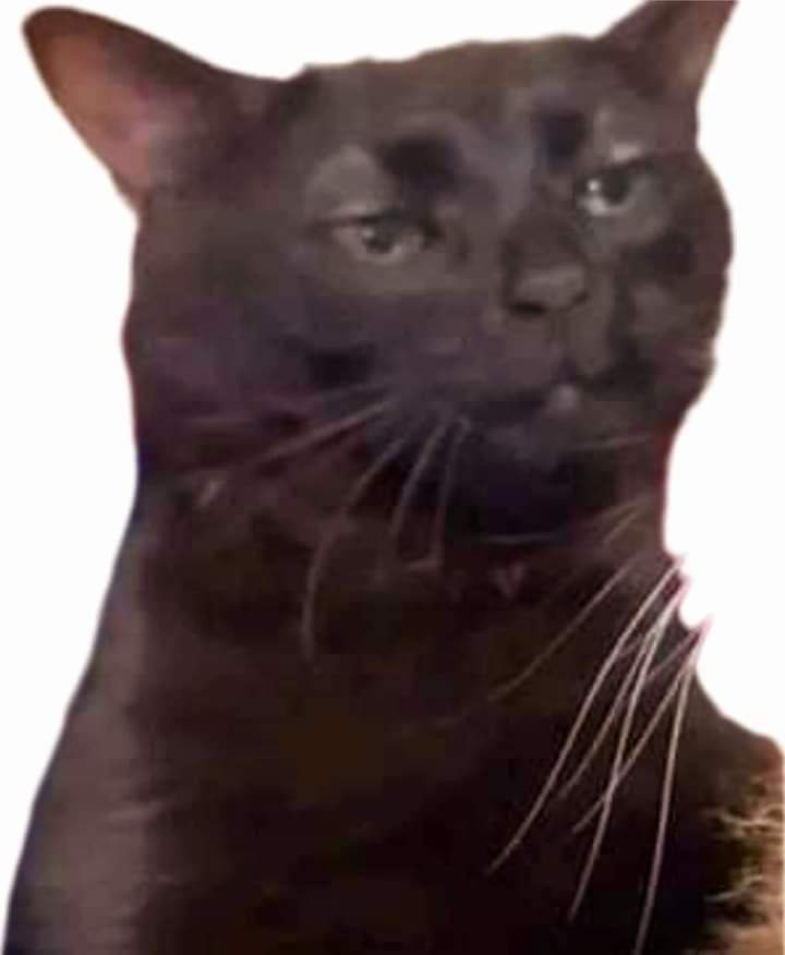 Apartamento, 3 quartos, 107 m² - Foto 1