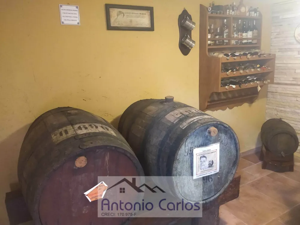 Chácara, 2 quartos, 3000 m² - Foto 6