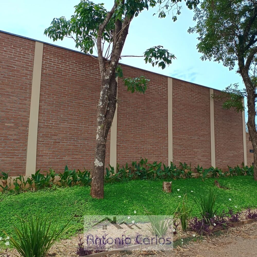Chácara, 3 quartos, 920 m² - Foto 14