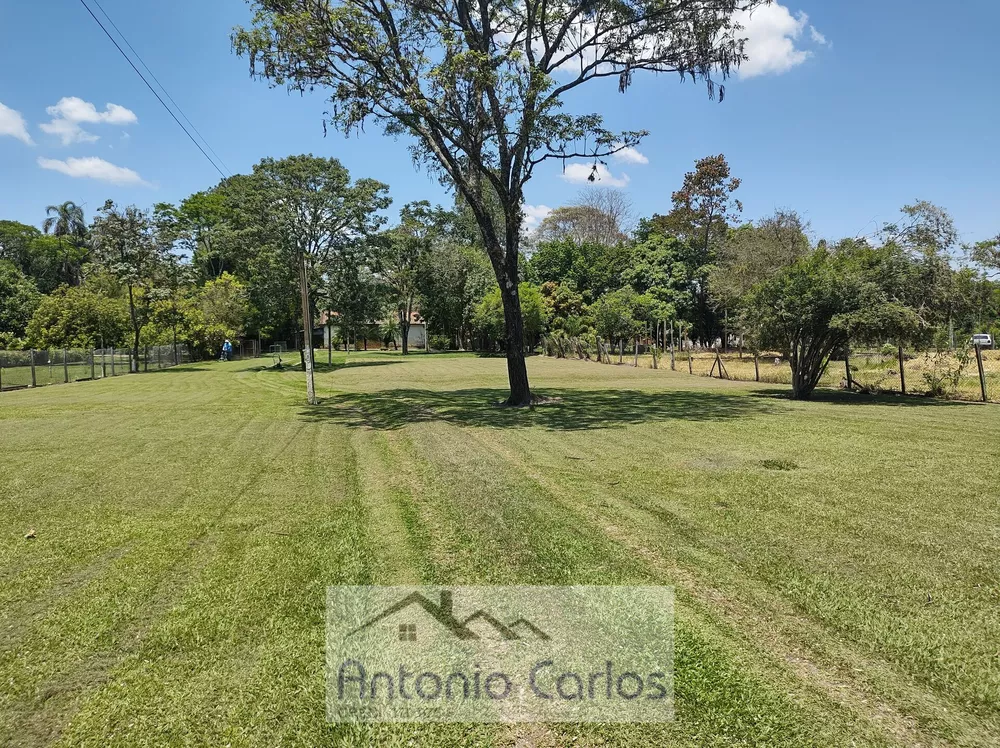 Fazenda à venda com 3 quartos, 4783m² - Foto 4