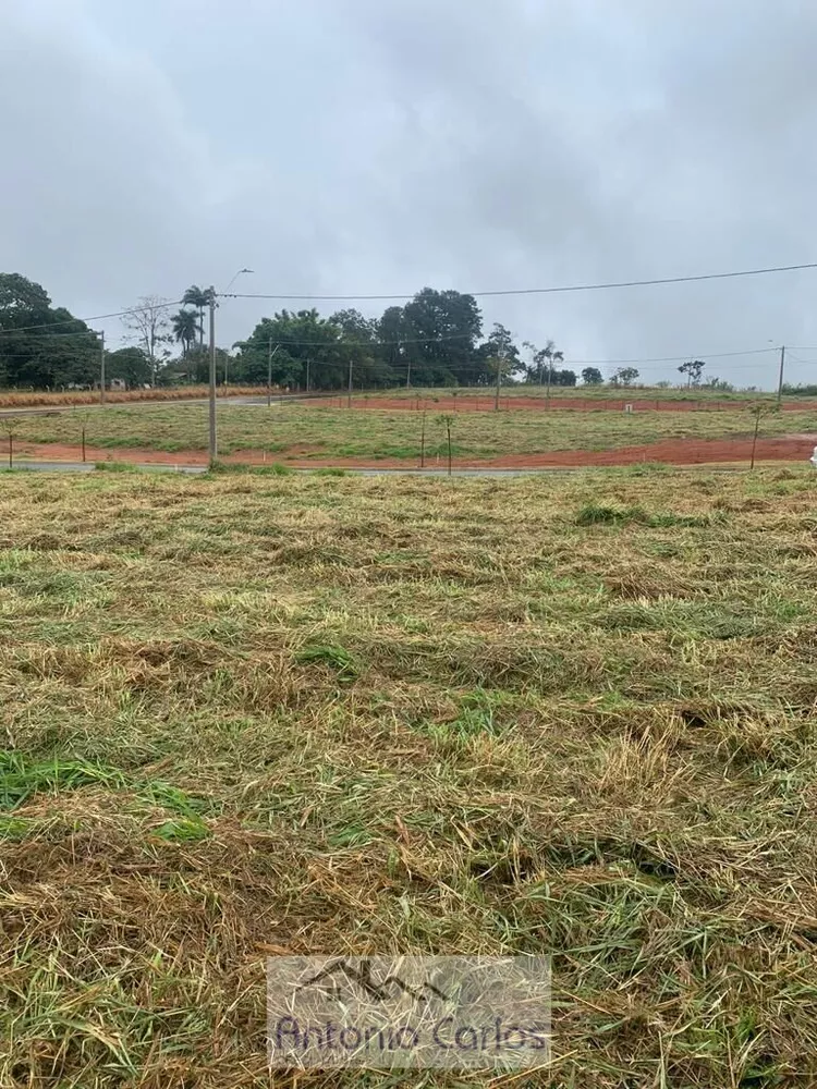 Terreno à venda, 250m² - Foto 2