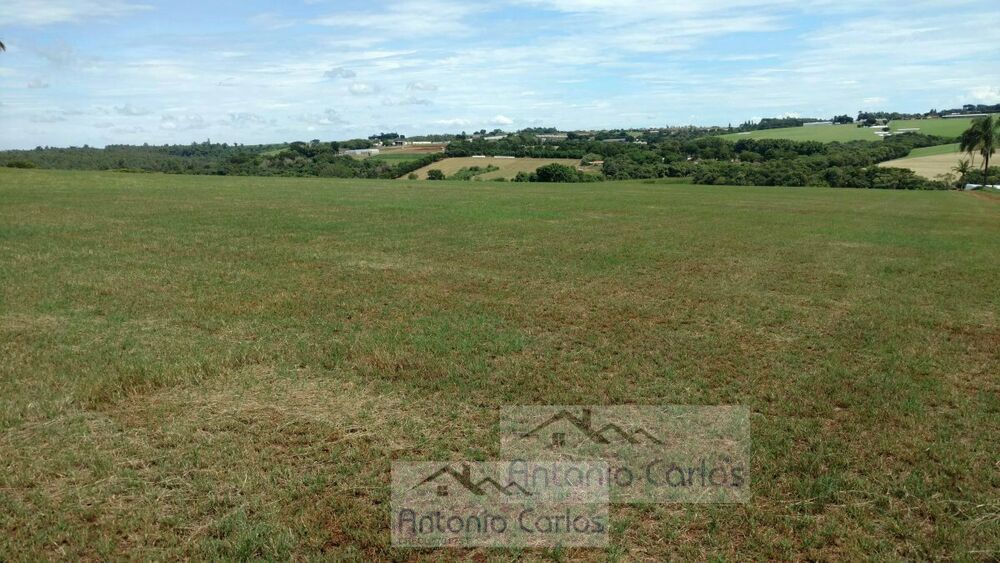 Terreno, 2 hectares - Foto 3