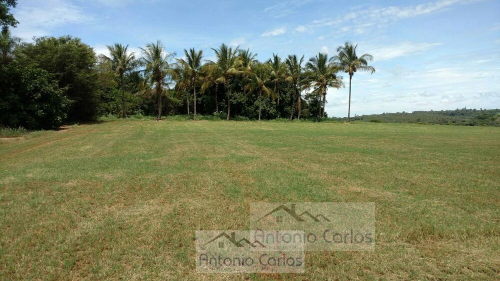 Terreno, 2 hectares - Foto 4