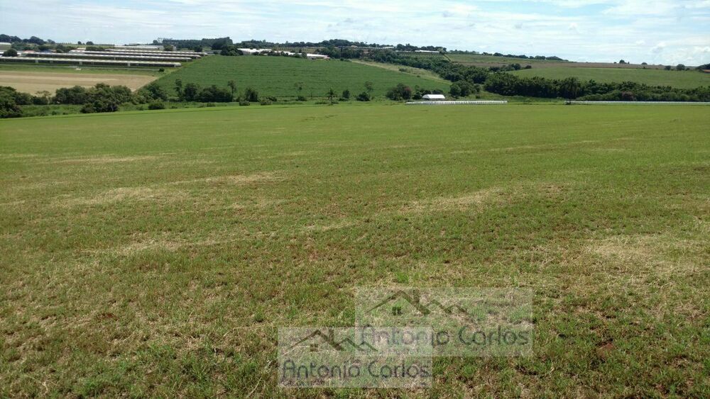 Terreno, 2 hectares - Foto 2