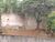 Terreno, 250 m² - Foto 4