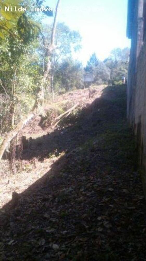 Terreno, 3000 m² - Foto 1