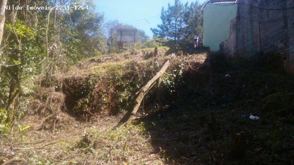 Terreno, 3000 m² - Foto 6