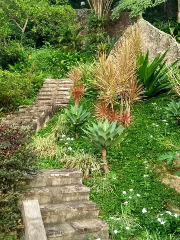 Casa, 4 quartos, 400 m² - Foto 40