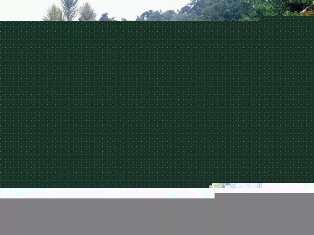 Casa, 4 quartos, 400 m² - Foto 38